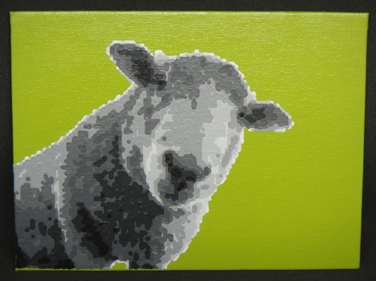 sheep image